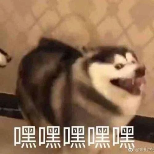 请输入图片描述